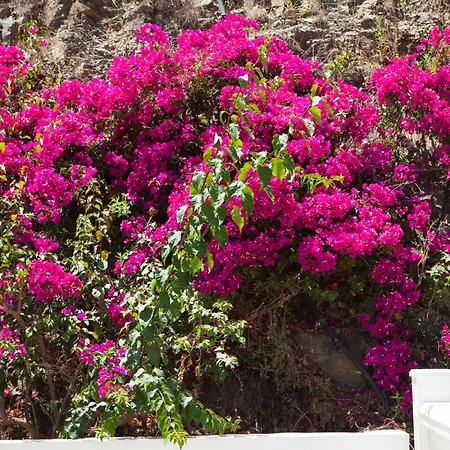 Rosa Blanca By Interhome *